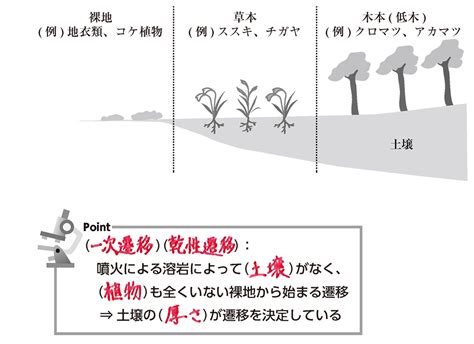 一次遷移|高校生物基礎「植生の遷移のポイント・練習問題」